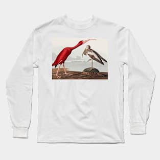 Bird of America  Bird, bird lover, america, beautiful  Public domain painting by John James Audubon Long Sleeve T-Shirt